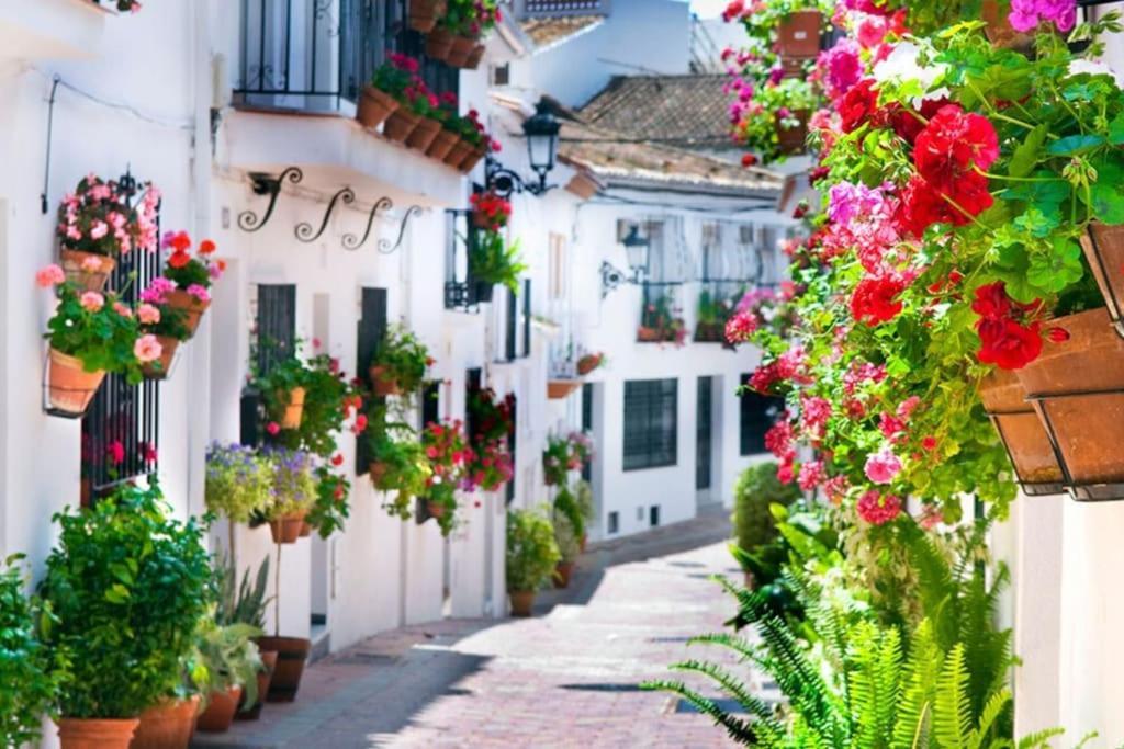 Studio Vista Costa Del Sol Benalmádena Exteriör bild